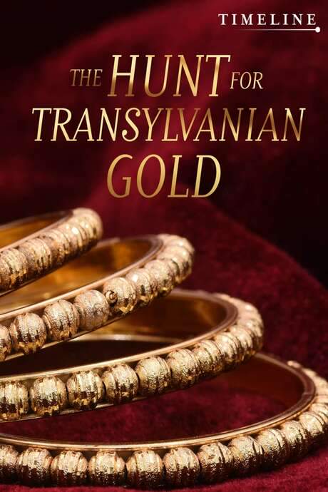 The sudden appearance of valuable golden bracelets in the international antiquities market sparks a police investigation into the theft of a significant golden hoard dating back 2000 years from Transylvania. The search for the missing treasure reveals a complex web of intrigue and a story of looting with far-reaching consequences.